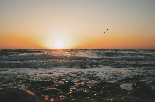 orange red sunrise on the sea with birds waves and rocks - Zdjęcie, obraz