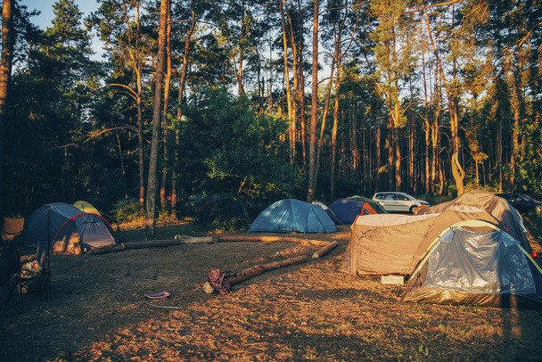 Orman güneşli bir gün çadırda turizm - Fotoğraf, Görsel