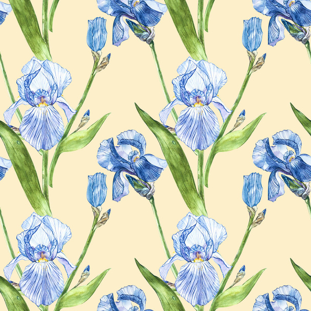 Flowers of Iris. Watercolor hand drawn botanical illustration of flowers. Seamless pattern. - Valokuva, kuva