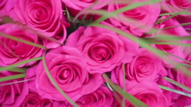 Beautiful blossoms of red roses. Bouquet of flowers close-up - Footage, Video