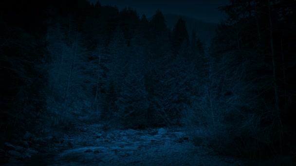 Fluss in der Wildnis bei Nacht - Filmmaterial, Video