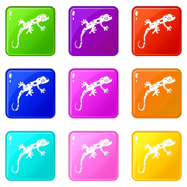 Chameleon icons 9 set - Vector, Image