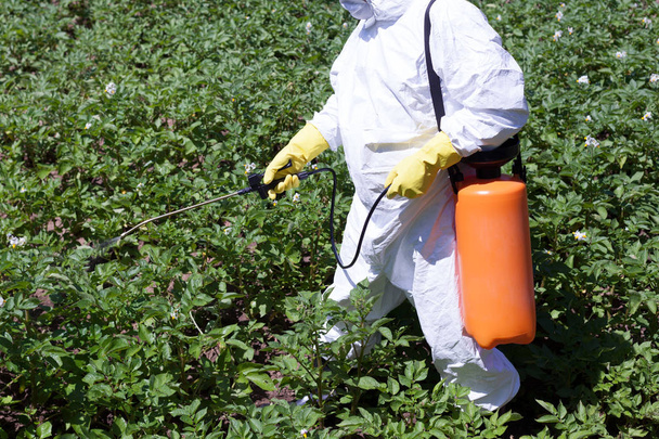 Farmer spraying pesticides - Foto, afbeelding