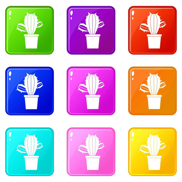 Cactus houseplants in pot icons 9 set - Vecteur, image