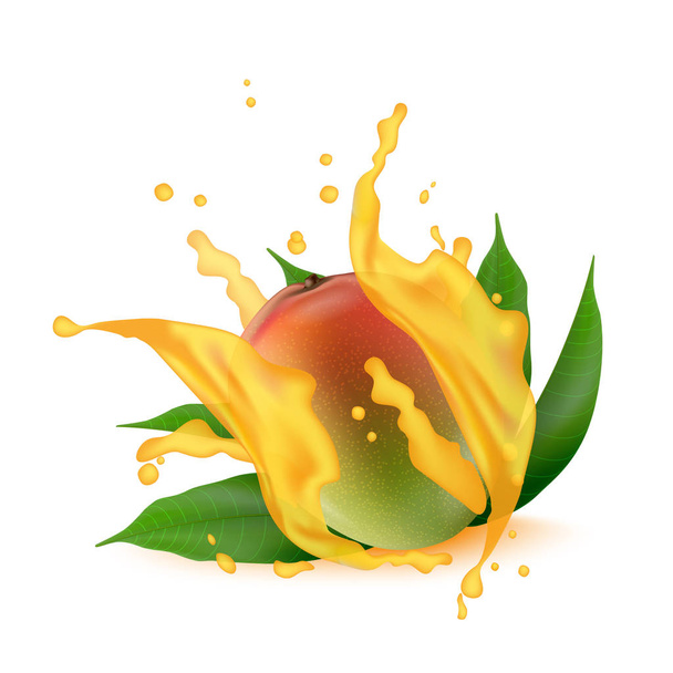 Juice splash of mango, orange, peach with leaves isolated on whi - Vector, Image