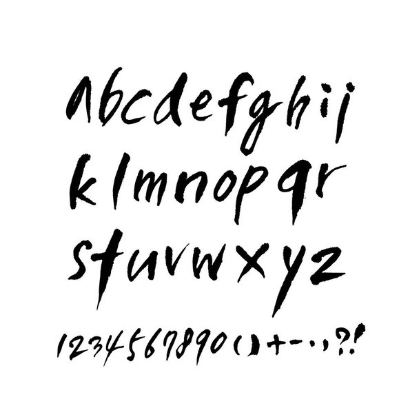 Vector fonts / Handwritten calligraphy  - Vektor, obrázek