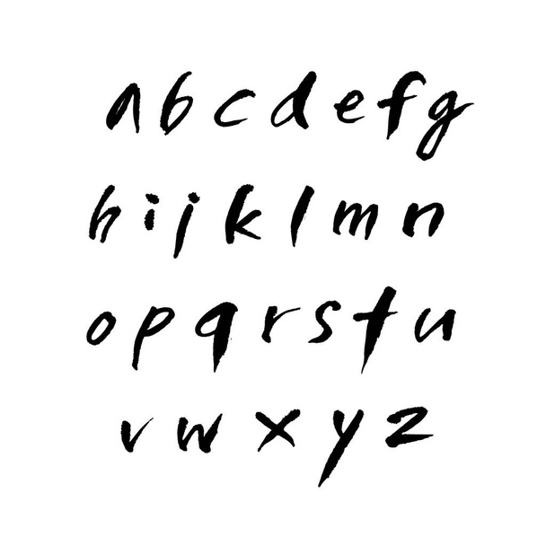 Vector fonts / Handwritten calligraphy  - Vector, Imagen