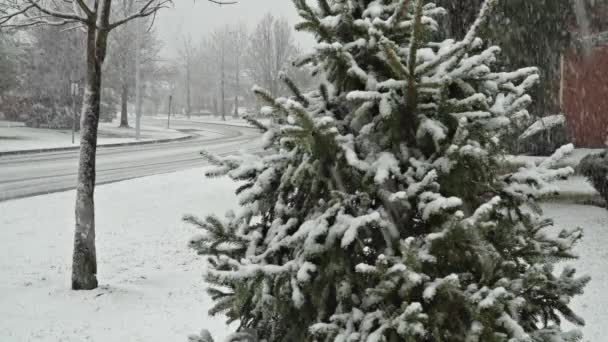 Schneefall liegt im Hof des Schlafquartiers, bedeckt von schneebedeckten Fahrzeugen. - Filmmaterial, Video