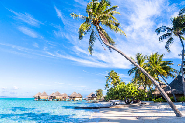 Isla de Bora Bora, Polinesia Francesa
. - Foto, imagen