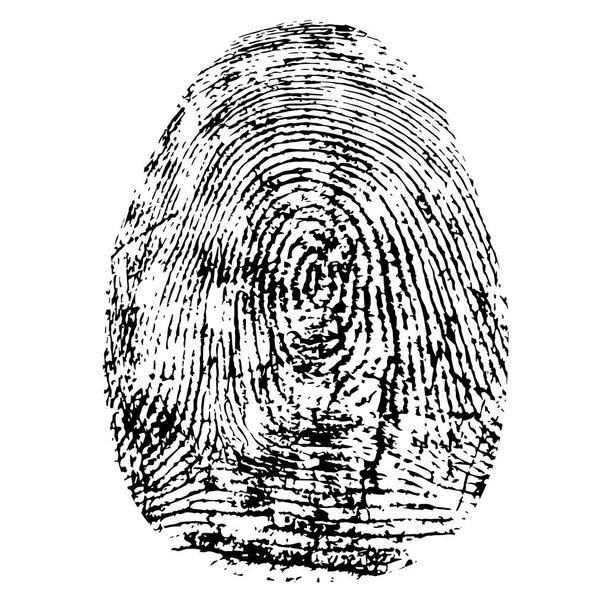 指紋、シルエット ベクトル。白い背景に分離された dactylogram - ベクター画像