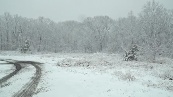 Hermoso paisaje invernal Tormenta de nieve con árboles
 - Metraje, vídeo