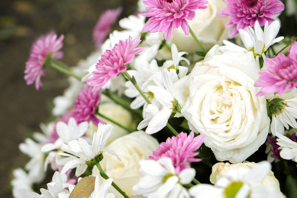 Όμορφη βιολετί λουλούδια και λευκά τριαντάφυλλα σε δημόσιο κήπο φόντο και ταπετσαρία. - Φωτογραφία, εικόνα