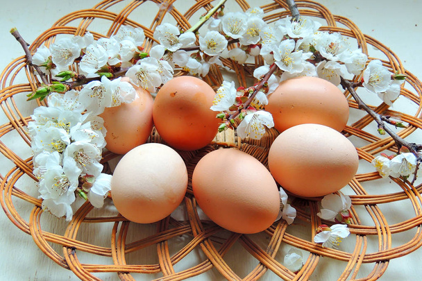 Ovos de Páscoa e galhos de cereja
 - Foto, Imagem