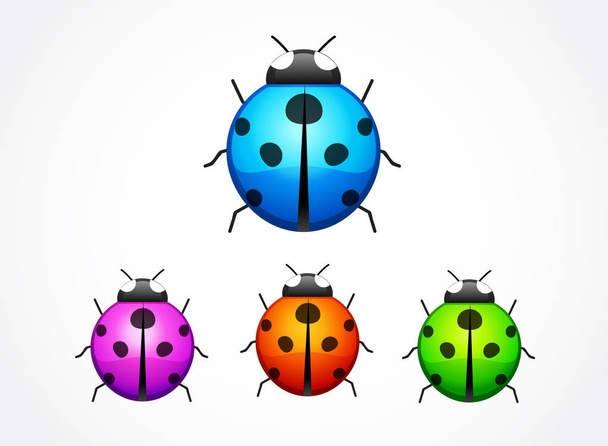 Set of ladybug isolated on white. vector illustration. - Vector, imagen