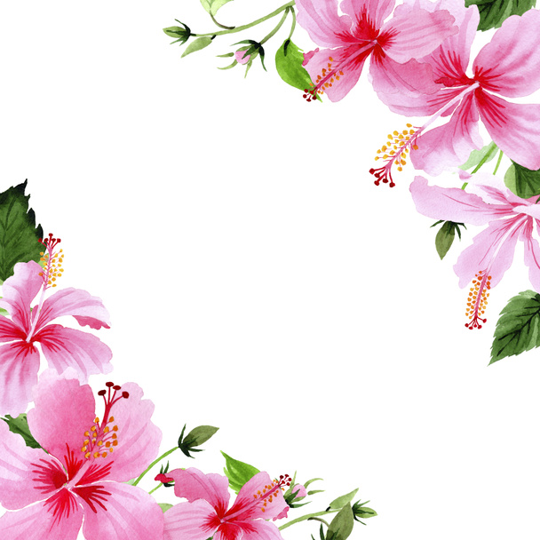 Wildblume Hibiskus rosa Blumenrahmen im Aquarell-Stil. - Foto, Bild