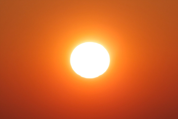 В центре Evening Sun
 - Фото, изображение
