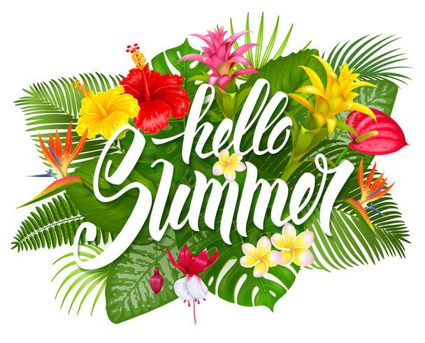 Hello summer design - Vector, Image