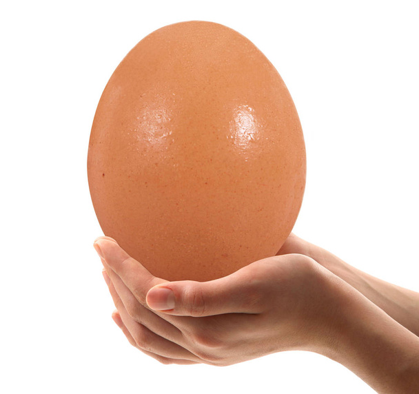 mano uovo gigante tenuto in sfondo bianco
 - Foto, immagini