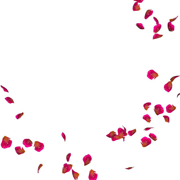 Im Kreis fliegen gerippte rote Blütenblätter. in der Mitte freier Platz für Ihre Fotos oder Texte - Foto, Bild