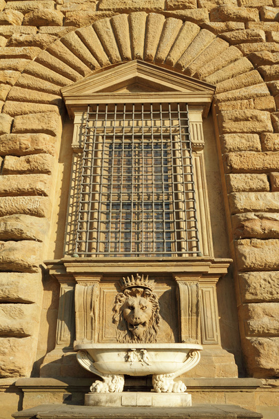 Detail of the facade of Pitti Palace - Photo, Image
