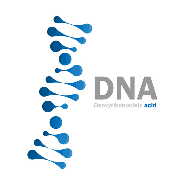 DNA-kuvakkeen logo, Deoksiribonukleiinihapon molekyylirakenne, vektorikuvaus
 - Vektori, kuva