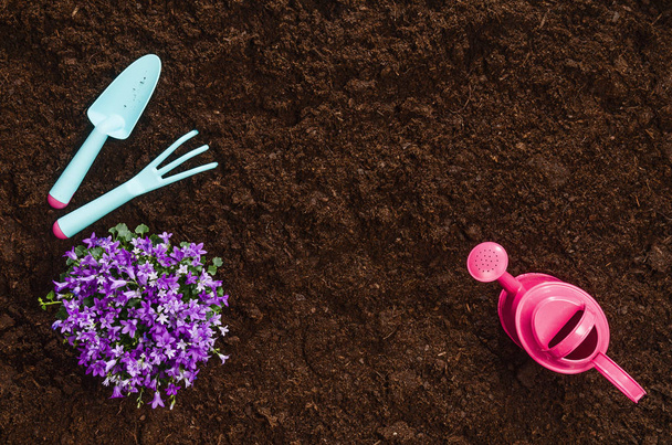 Gardening tools on garden soil texture background top view - Foto, imagen