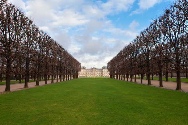リュクサンブール公園と宮殿パリ、青い空と冬にフランスで白い雲と木 - 写真・画像