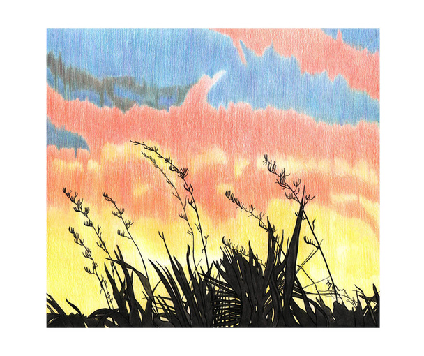 手描きのイラストを使用した空の夕焼けと植物 - 写真・画像