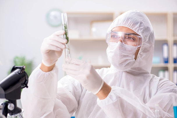 Chemik biotechnologiczny pracujący w laboratorium - Zdjęcie, obraz