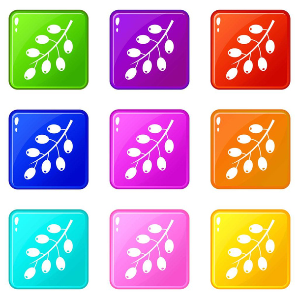 Barberry branch icons 9 set - ベクター画像