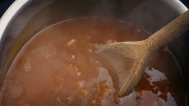木のスプーンでシチューの鍋で - 映像、動画