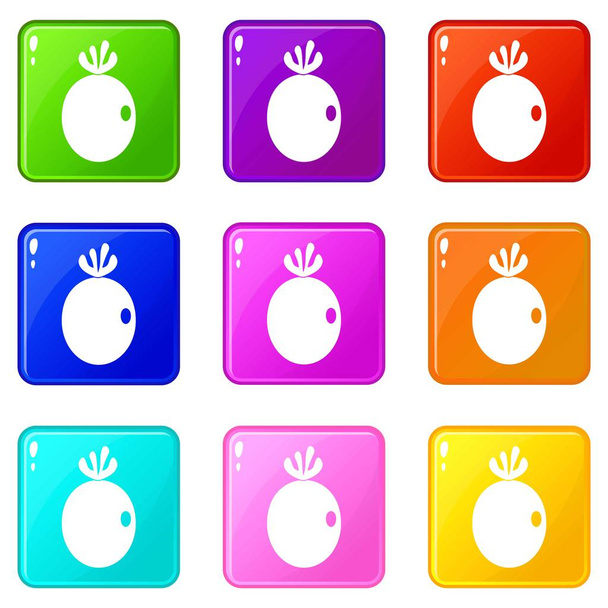 Feijoa fruit icons 9 set - Vektor, Bild