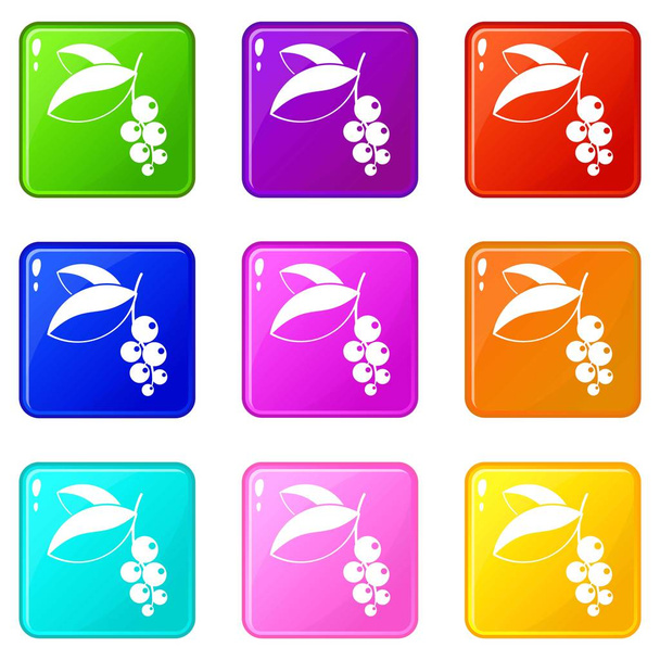 Currant berries icons 9 set - Vector, Image