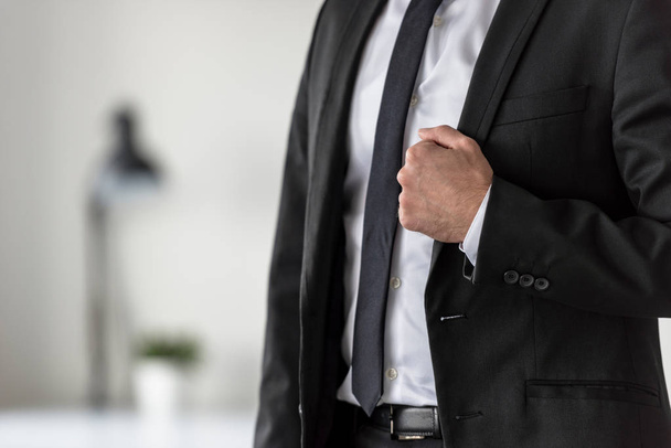 Torso of a businessman in a suit holding the lapel of his stylis - Photo, Image