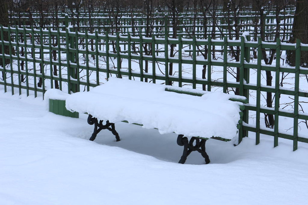 padon a parkban elsöpri hó alatt hóviharok - Fotó, kép