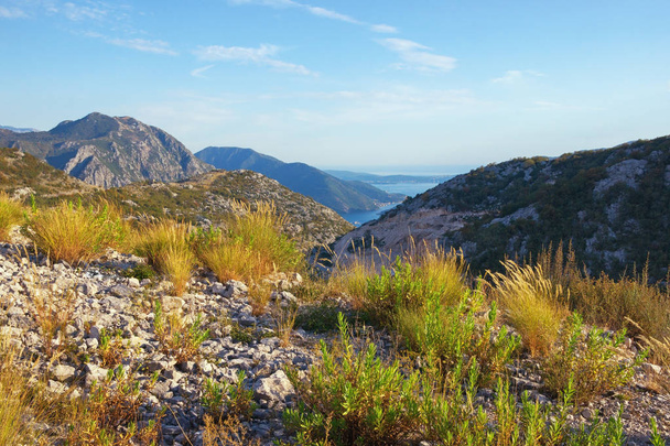 美しい夏の山の風景。バルカン半島、モンテネグロ - 写真・画像