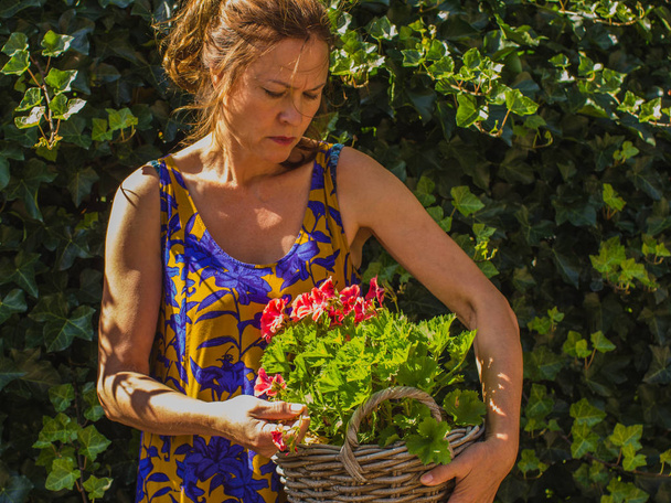 Милая серьезная женщина, стоящая в саду с корзиной красного гриппа
 - Фото, изображение