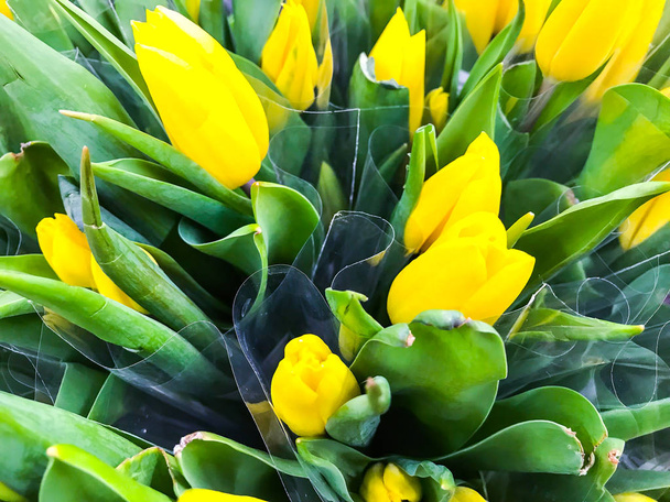 Букети зі свіжих різнокольорових тюльпанів, продаж на ринку
 - Фото, зображення