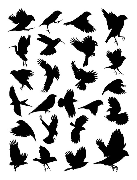 Birds detail silhouette. Vector, illustration. Good use for symbol, logo, web icon, mascot, sign, or any design you want. - Vector, Image