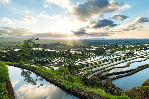 Όμορφη ανατολή του ηλίου πάνω από το Jatiluwih ρύζι βεράντες σε Μπαλί, Ινδονησία. - Φωτογραφία, εικόνα