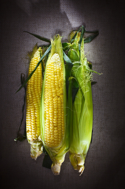 Still life with three indian corn ears on gray linen canvas - Foto, afbeelding
