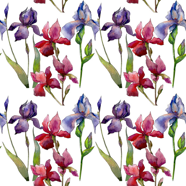 Kır çiçeği Iris çiçek deseni suluboya tarzında. - Fotoğraf, Görsel