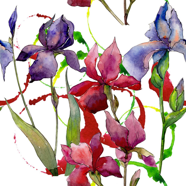 Patrón de flores de iris de flor silvestre en un estilo de acuarela
. - Foto, Imagen