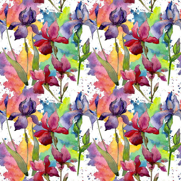 Wildflower iris flower pattern in a watercolor style. - Φωτογραφία, εικόνα