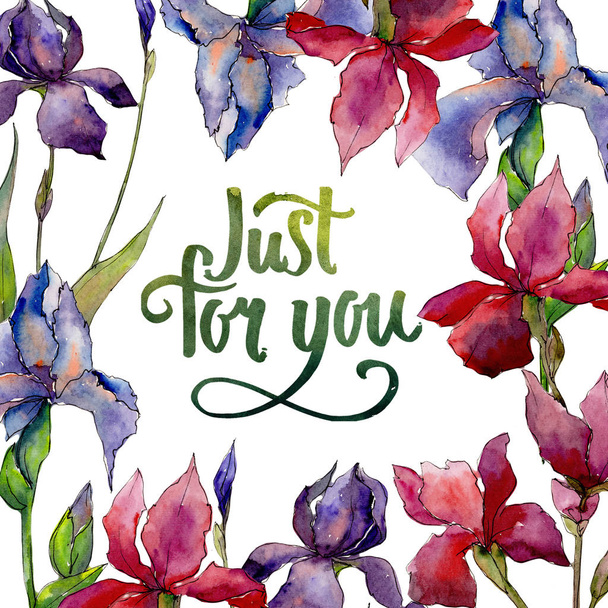 Wildflower iris flower framr in a watercolor style. - Фото, зображення