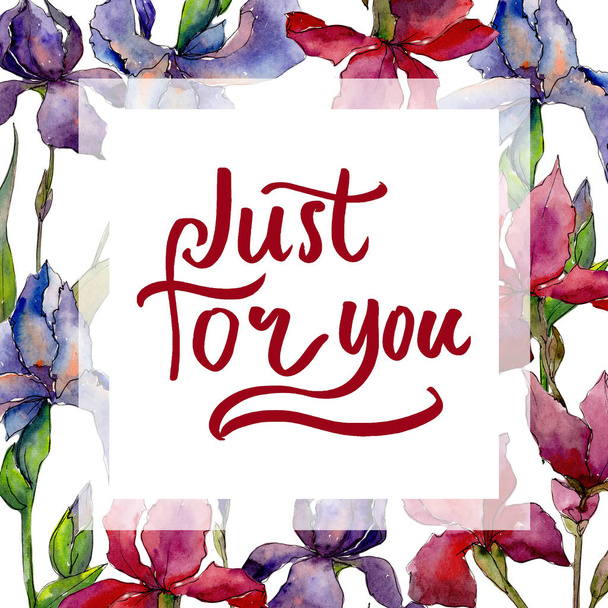 Wildflower iris bloem framr in een aquarel stijl. - Foto, afbeelding