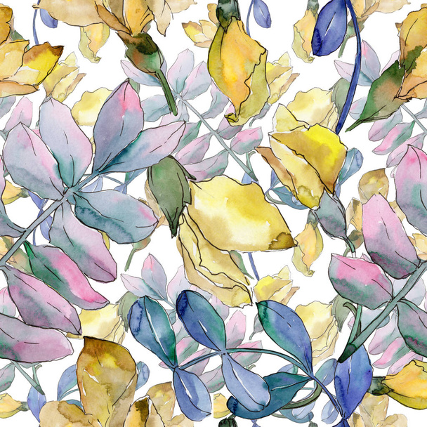 Acacia leaves pattern in a watercolor style. - Photo, Image