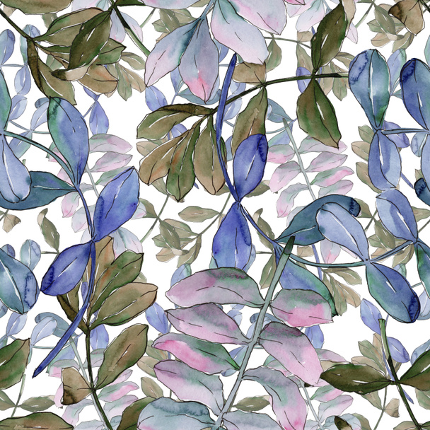 Modello di foglie di acacia in stile acquerello
. - Foto, immagini