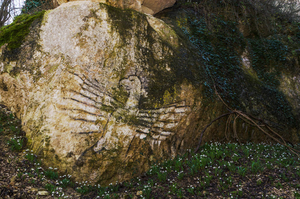 Antik petroglifler - Fotoğraf, Görsel