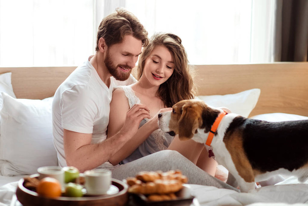 Cheerful family couple spend weekend morning in bed with their favourite pet, feed dog while have breakfast in bedroom, going to have walk outdoor together, love animals. People and animals concept. - Zdjęcie, obraz
